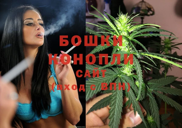 ПСИЛОЦИБИНОВЫЕ ГРИБЫ Михайловка