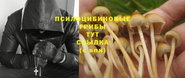 индика Медногорск