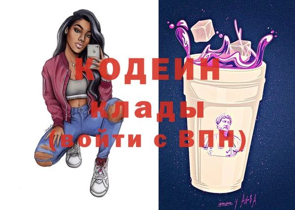 индика Медногорск