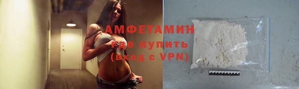 индика Медногорск