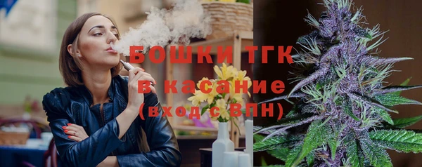 ПСИЛОЦИБИНОВЫЕ ГРИБЫ Михайловка
