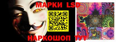 стафф Гатчина