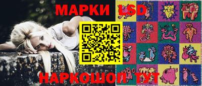 стафф Гатчина
