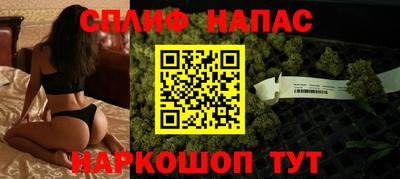 стафф Гатчина
