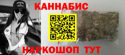 спиды Гагарин
