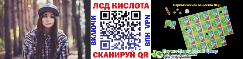 где купить   Каменка  Марки N-bome 1,5мг 
