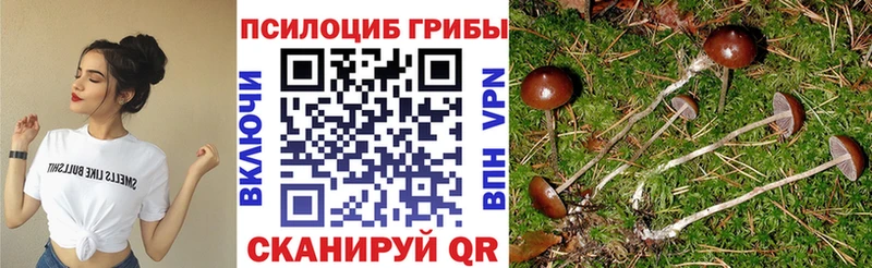 Псилоцибиновые грибы Psilocybine cubensis  Каменка 