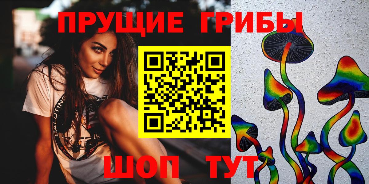 Галлюциногенные грибы прущие грибы  Вход с VPN  Каменка 