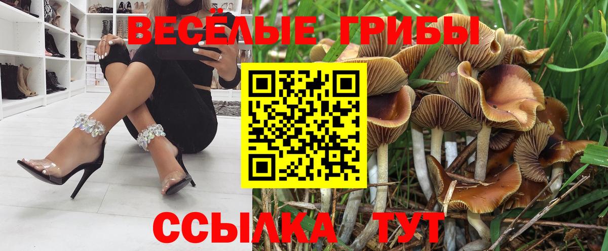 Галлюциногенные грибы Magic Shrooms Каменка